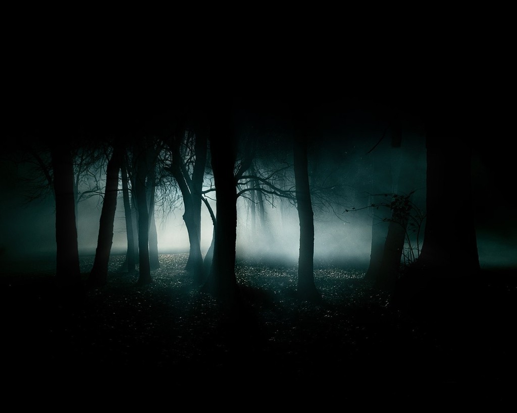 bosque nocturno