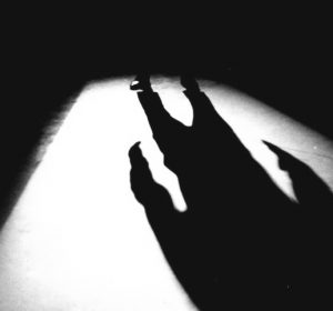 shadow-in-the-dark